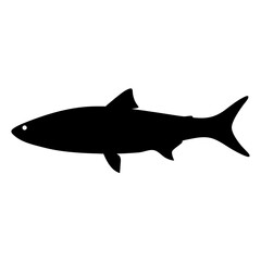 Obraz premium Black silhouette shark swimming graphic - Sleek black silhouette of a shark swimming in a clean, minimalist style. Perfect for marine, underwater, or nature-themed designs.