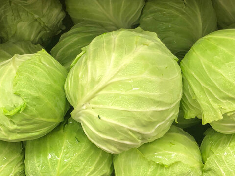 View of fresh green cabbages with crisp leaves and water droplets in California City, California, United States.