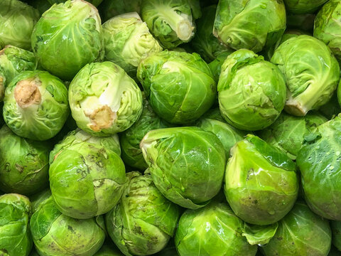 View of fresh green Brussels sprouts with tightly packed leaves and vibrant color in California City, California, United States.