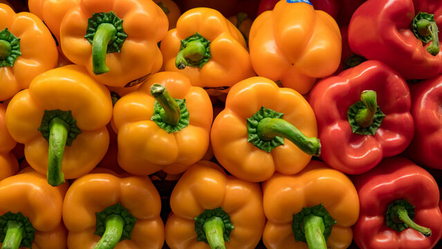 View of fresh yellow, orange, and red bell peppers arranged in a vibrant display in California City, California, United States.