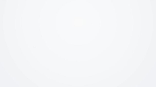 Online Payment Confirmation and Secure Transaction Process Animation