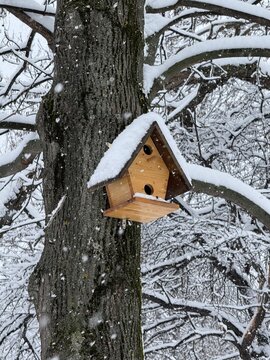 View of a wooden birdhouse attached to a snow-covered tree trunk during a winter snowfall in Geo Milev Park in Sofia, Sofia City Province, Bulgaria.