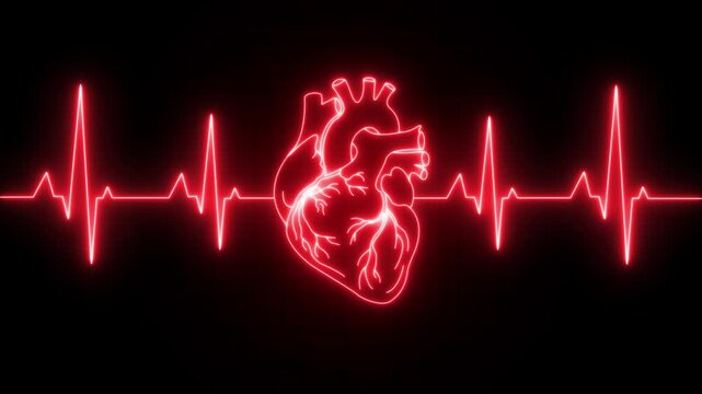 Futuristic glowing red wireframe human heart beating with EKG line pulse and digital rhythm on black background. Concept for health, anatomy, and the importance of blood circulation in human life.