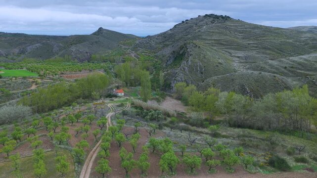 Aerial view from a drone of the spring landscape of almond groves in Gr&aacute;valos, in the Cervera region. Autonomous Community of La Rioja. Spain. Europe