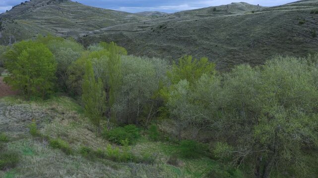 Aerial view from a drone of the spring landscape of almond groves in Gr&aacute;valos, in the Cervera region. Autonomous Community of La Rioja. Spain. Europe