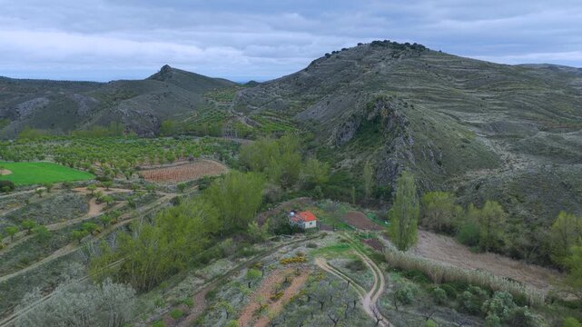 Aerial view from a drone of the spring landscape of almond groves in Gr&aacute;valos, in the Cervera region. Autonomous Community of La Rioja. Spain. Europe