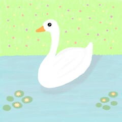 swan in the pond © LIDIACITRA