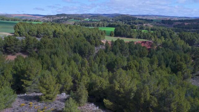 Aerial view from a drone of the so-called Sacristan's Castle in Ariza, in the Calatayud region of the province of Zaragoza, Castile and Le&oacute;n, Spain, Europe