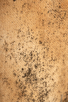 Close up of mold and dirt on old sofa fabric