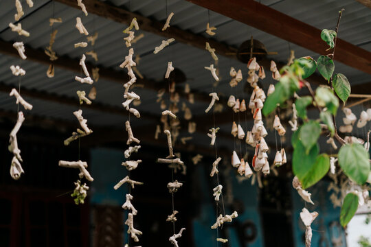View of hanging coral and seashell decorations under a wooden roof in Raja Ampat island, Southwest Papua, Indonesia.