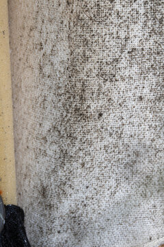 Close up of mold and dirt on old sofa fabric