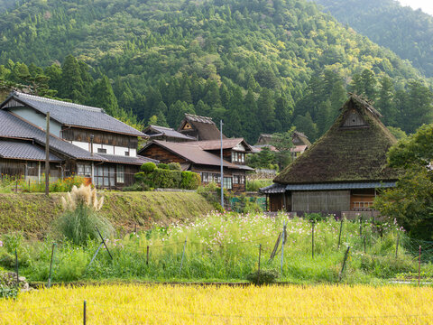 秋の美山かやぶきの里
