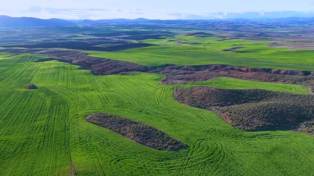 Winter landscape in the Far West Atecano and the Sierra de Armantes. Aerial view from drone of cereal fields. Calatayud region. Zaragoza Province. Aragon. Spain. Europe