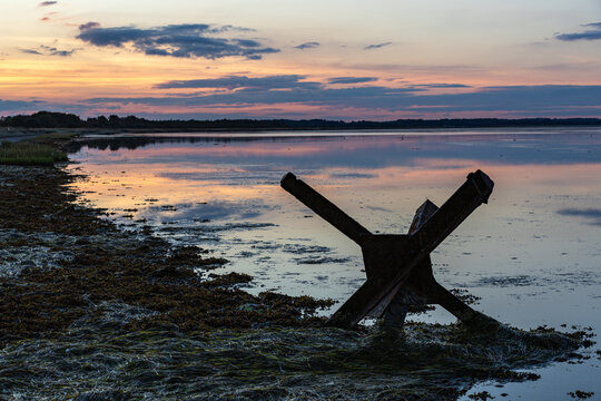 View of a rusty Czech hedgehog anti-tank obstacle resting on the seaweed-covered shoreline during a calm sunset in Allingabro, Jutland, Denmark.