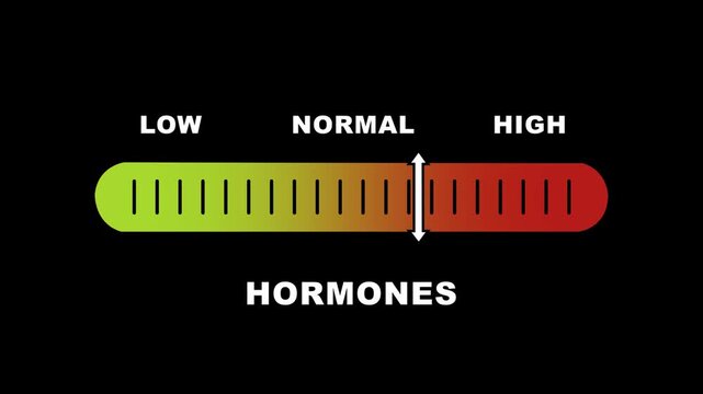 Dynamic hormone level indicator gauge animation showing fluctuating biological data from low to normal and ranges for medical research, clinical diagnostics, endocrinology studies, and health analysis