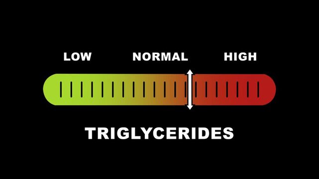 Animated triglycerides level indicator gauge moving from low to risk zones on a black background, for medical health, education, clinical diagnostics, laboratory testing, and, cardiovascular wellness