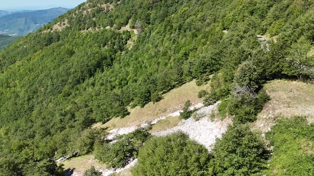 Ripresa aerea con drone di un vasto pendio montano boscoso, caratterizzato da radure erbose, rocce calcaree scoperte e una fitta foresta verde che si estende verso la vallata sullo sfondo