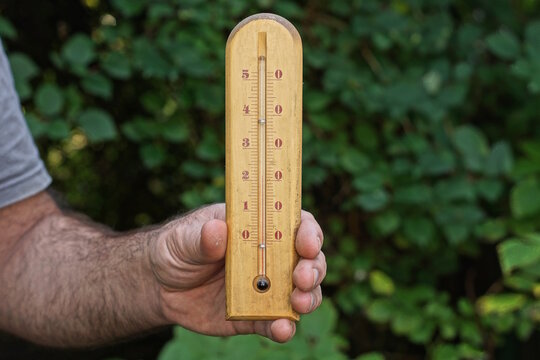 A mans hand holds a long brown wooden thermometer against a backdrop of green vegetation on a summer street