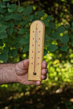 A mans hand holds a long brown wooden thermometer against a backdrop of green vegetation on a summer street