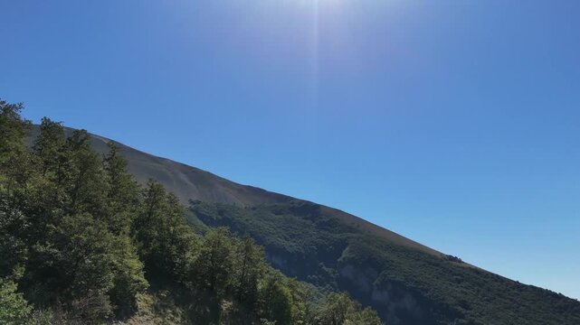panorama montano in una limpida giornata estiva, con il sole splendente che illumina un fitto bosco di conifere lungo il ripido pendio della montagna sotto un cielo azzurro e terso