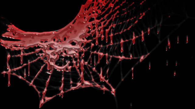 Bloody Spider Web Dripping Effect with alpha matte. Horror Halloween Animation concept