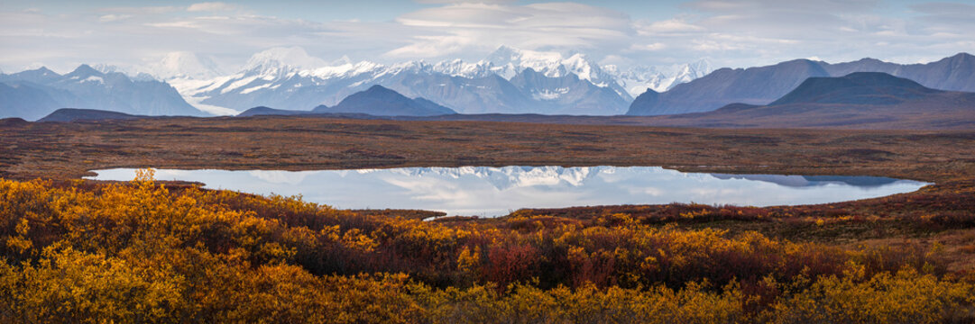 View of the Denali Highway landscape featuring a reflective lake, snow-capped mountains under a cloudy sky, and vibrant autumn foliage in the foreground in Cantwell, Alaska, United States.