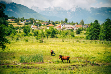 Obraz premium Two brown horses grazing in a beautiful mountain valley near a rural village.