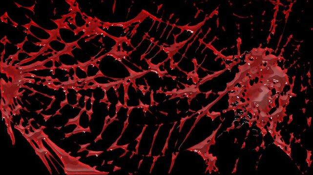Dark Red Spider Web with Dripping Blood Effect for Halloween concept Horror Animation. Transparent background