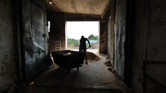 Farmer shoveling feed into wheelbarrow inside a rustic barn, working at a cow farm
