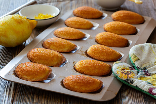 Freshly baked lemon madeleines cooling in a baking tray on wooden table