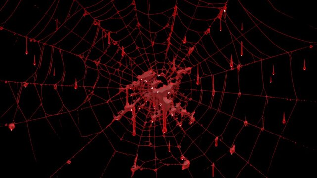 Creepy Red Spider Web with Hanging Blood Drips on Transparent Background. Halloween Concept Animation
