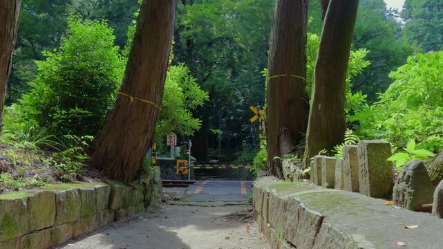 Train Passing Near Iinotakamiyakouyama Shrine (Takamiya Shrine) in Ise City, Mie Prefecture, Japan During Summer