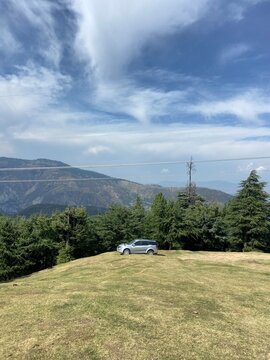 Forest in Kashmir 