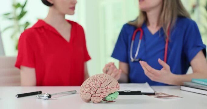 Female doctor discusses medical information with woman near brain model. Physician explains health topic gesturing during clinical consultation