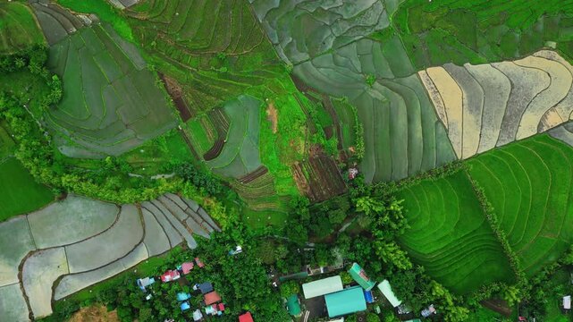 Drone view over the rural landscape around La Salvacion National High School, with expansive rice fields extending across Salvacion, Tigaon.
