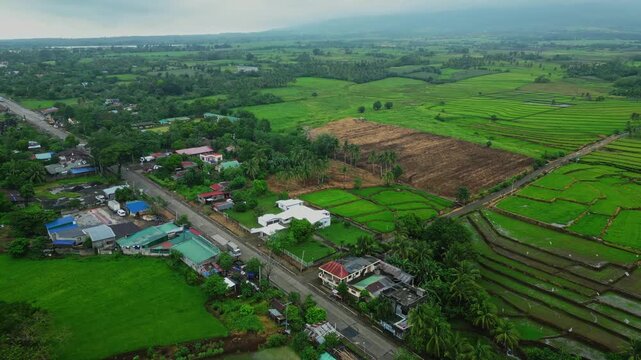 Aerial shot of the agricultural countryside surrounding Salvacion, Tigaon, where rice fields extend around La Salvacion National High School.