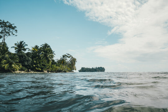 View of the tropical coastline with lush palm trees and dense vegetation along the shore, with calm ocean waves in the foreground under a blue sky in Uvita, Puntarenas Province, Costa Rica.