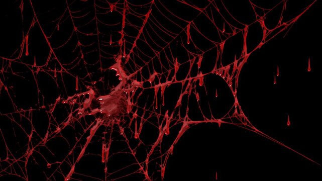 Creepy Red Spider Web with Hanging Blood Drips on Transparent Background. Halloween Concept Animation