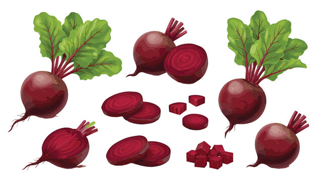 Hand Drawn Beetroot Collection with Whole, Halved, Sliced and Diced Red Beets with Fresh Leaves for Healthy Food and Cooking Designs