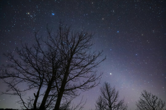 Orion constellation, zodiacal light and Milky Way stars on a dark countryside skies.
