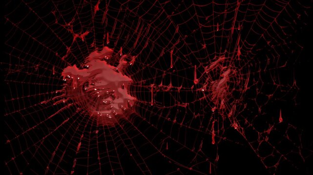 Animated Spider Web with Red Liquid Drips and Dark Gothic Atmosphere on transparent background. Halloween spider web background. Graphic resource concept. 