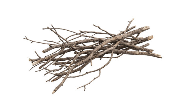 A pile of dry, weathered, and broken tree branches and twigs with rough bark texture PNG Isolated on transparent background