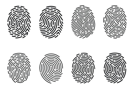 Biometric Fingerprint Icon Set featuring thumbprint patterns, identity protection, secure authentication, scanning systems, cybersecurity, digital verification, web interfaces, and app design vector