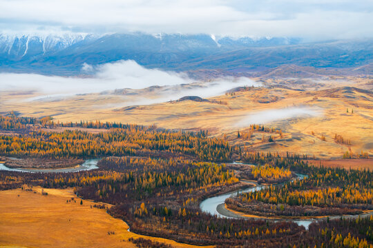 Morning fog over Chuya river in Kurai steppe, Altai mountains, Siberia, Russia. Yellow autumn trees and grass on the hills.