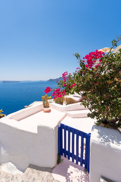 White architecture in Santorini island, Greece. Beautiful terrace with blooming pink flowers. Blue sea and the blue sky at sunny day.