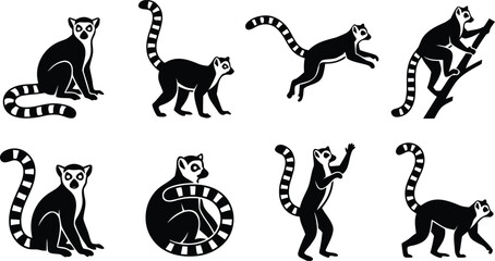 Obraz premium Ring tailed lemur icon set with striped tail climbing and wildlife design