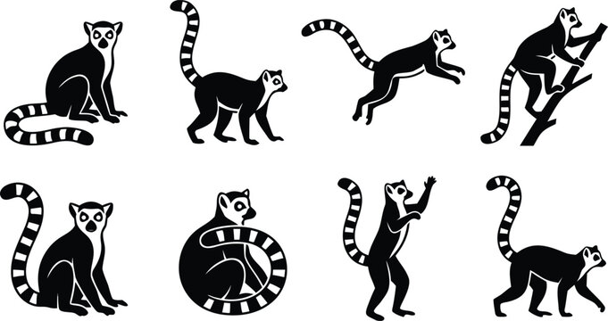 Ring tailed lemur icon set with striped tail climbing and wildlife design