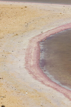 View of the vibrant pink salt flats with mineral-rich water meeting the sandy shore in Las Coloradas, Yucatan, Mexico.
