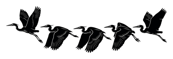 Fototapeta premium Birdlife and migration vector illustration with flying birds wings and feathers for marketing in vector art