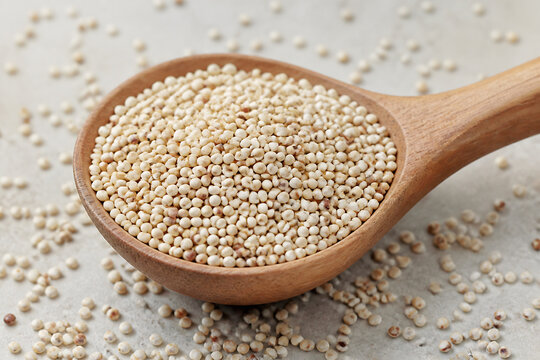 A wooden spoon filled with small, light-colored grains of quinoa rests on a light surface scattered with more quinoa.